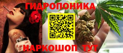 прущие крисы Балаково